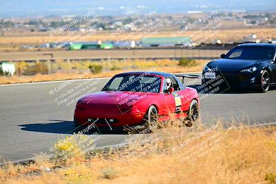 media/Nov-16-2024-Extreme Speed (Sat) [[6587d07cc4]]/Purple Group/Session 3 (The Bowl)/